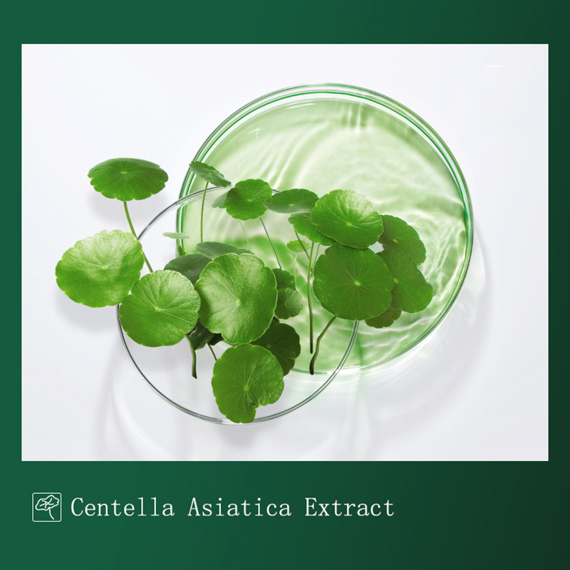 Máscara de barro Centella para - Dust Mask Construction reseña y precio